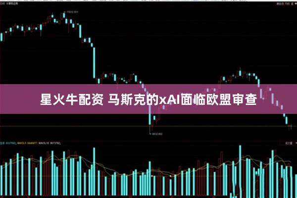 星火牛配资 马斯克的xAI面临欧盟审查