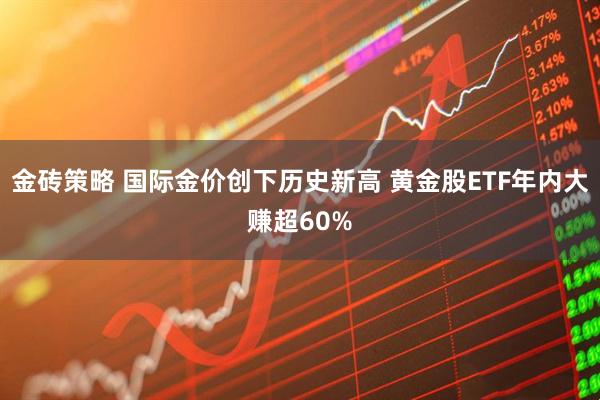 金砖策略 国际金价创下历史新高 黄金股ETF年内大赚超60%